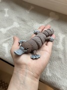 Flexi figurka 3D dziobak fidget toy ozdoba dekoracja