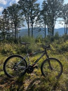 rower Kellys Sabotage Disc