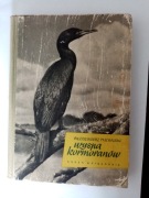 Wyspa kormoranów - Włodzimierz Puchalski