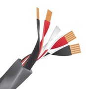 Kabel głośnikowy WIREWORLD Equinox 8, 1m