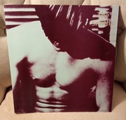 The Smiths – „The Smiths” | 1989 | winyl 