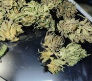 Legalny susz CBG 9.16% NATURALNY! 1g