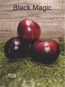 129-Black Magic. Pomidory kolekcjonerskie.