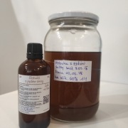 Ekstrakt z pędów sosny 50 ml