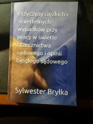 Przyczyny ciężkich i śmiertelnych wypadków w pracy w opinii biegłego 