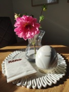 Laktator muszlowy Neno Perla