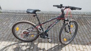 Rower MTB Mettys XC DEMA 24