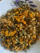 Wrotycz suszony 100 g