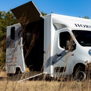 Transport koni, żywych zwierząt, koniowóz