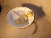 Electrolux ESL 499 wanna zmywarki komplet