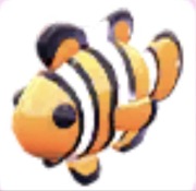 Clownfish - Adopt Me Roblox
