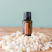 Olejek eteryczny FRANKINCENSE kadzidłowiec doTERRA 15ml