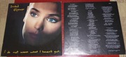 Sinéad O'Connor – I Do Not Want What I Hav LP  EX-