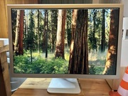 Apple Cinema HD Display 30” – kolekcjonerski monitor