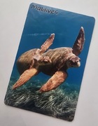 Magnes na lodówkę MALEDIWY Maledives Żółwie Wybrzeże plaża. (30) 