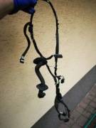 Laguna III 3 Wiązka drzwi Lewy Przód 241250109R