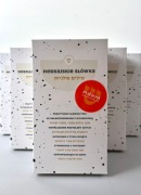 Hebrajski: Fiszki poziom ZAAWANSOWANY do nauki języka hebrajskiego