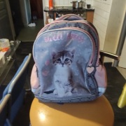 Plecak szkolny wielokomorowy Paso biały, Odcienie różu, Odcienie szarości 