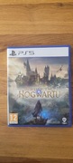 Hogwarts Legacy Ps5