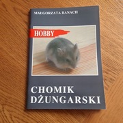 Chomik dżungarski Małgorzata Banach