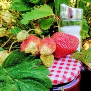 Dżem truskawkowy janginizowany. Bez cukru.  { 300g}  {4,50zł/100g}