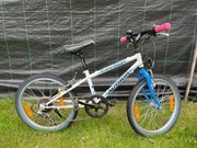 Rower Author Energy 20"