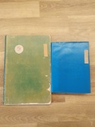 Wyprzedaż zbiorów / Zagranica / 2 Klasery - 18 stron / Stan kolekcjonerski 