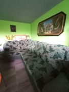 zielona kanapa. 