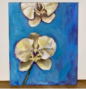 Obraz na płótnie storczyki kwiaty