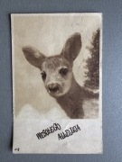 Pocztówka vintage lata 50. Wielkanoc motyw Sarenka