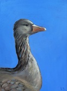 Obraz olejny ptak gęś na niebieskim tle 40*30 cm 