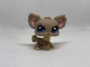 LPS Littlest pet shop pies chihuahua #1393