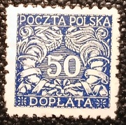 Polska Fi D19 Doplaty / rogi obfitosci /