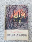 książka "Zagłada gniazda os" Gieorgij Briancew 