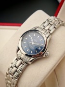 OMEGA Seamaster 120M 2581.81 Dokumnety