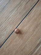 Dysza tnąca plazmy 1,5mm