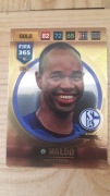 Fifa 365 2017 GOLD nr,36 NALDO 