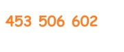 453 506 602 + 453 506 603 ZŁOTY NUMER ORANGE