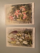 Wł. Kowalski kwiaty pocztówka