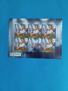 ark. Fi 5355 Zespół Mazowsze   2023 r.