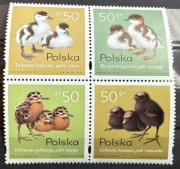 Fi 3538-41 Pisklęta zagniazdowniki 