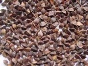 sprzedam ekologiczną grykę