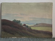 pejzaż skandynawski z domem