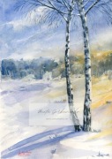 Akwarela brzozy zimą