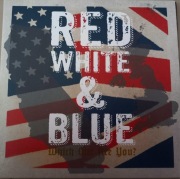 Red White&Blue Which One Are You? 2 Single 7" 45RPM  Punk NM