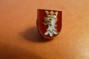 Kraków Powiat Herb pin przypinka