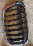 Lewa nerka BMW X1 F48 2018