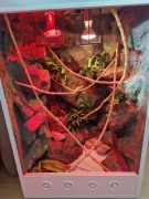 Terarium z wyposażeniem 