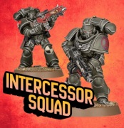 Bits żywiczne/Figurki do Warhammer 40K Intercessor Marines x5