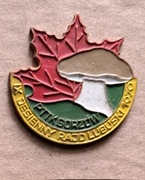 IX JESIENNY RAJD LUBUSKI 1980 - odznaka PTTK